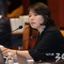 진선미 이미지