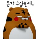 목포광택