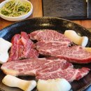 한남동 주민센터 다목적실 | [일상#34] 한남동은 고양이부터 다르다