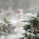 광수법률사무소