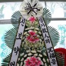 신보약업사 이미지