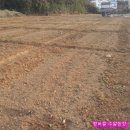 왕버들2농장 이미지