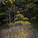 가을바람 이미지