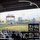 엔씨OST | [창원NC파크] 260329 두산vsNC, 3루 1층 118구역 미니테이블석(19열) 시야