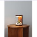 원목 트리 led무드등 | 원목 식물 무드등 후기, 플랜테리어 수면등 찾다가 결국 이걸로 정착한 이유