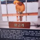 임실자연농원