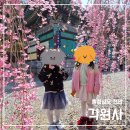 수양천안·아산