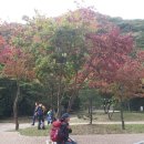 구천계곡야영장 Daum카페