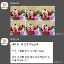 트리트멍트 이미지