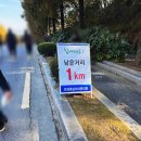 공설운동장 삼거리-우 | 제 25회 창원 통일 마라톤 5km 참여 후기