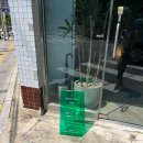 팔삼 | 보문역 조용한 카페 추천 유즈리스 어덜트 후기