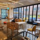 비어마이독 | 애견카페-비어마이독 방문 후기