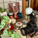 스튜디오 오다가다 이미지