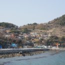 꽃섬투어 이미지