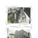 신평동1098 이미지