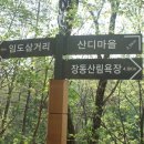 황토길 Daum카페