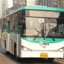 양지리 마을회관 앞 이미지