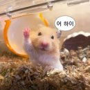 부산 골프장 내돈내산 후기 ⛳ 부산 용호동 골프연습장/스크린 추천｜W스퀘어 주차·시설·레슨까지 솔직...