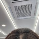 레브하헤어