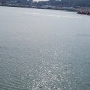 장고항수산