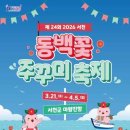 한국지엠서천바로서비스 | 2026 서천 동백꽃 주꾸미 축제 일정과 주차 맛집 총정리