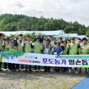 자매유통 이미지