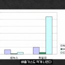 대일주유소 | 휘발유값 폭등 '세녹스' 대체상품으로 급 회자되는