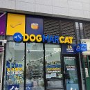 도그리치 이미지