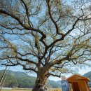 남해-150 이미지