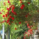 (주)오월에숲 이미지