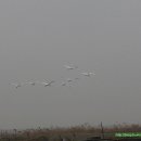 부리농장 이미지