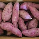 신나농장 이미지