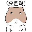 상록수식당 네이버블로그