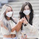 (주)더다솜