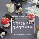 동물보육원고양이후원카페
