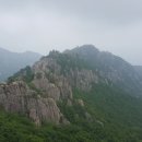 네거리의순이 네이버블로그