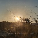 대양권역농촌체험휴양마을 | [합천 독채 숙소] 대양친환경농촌체험휴양마을 후기1