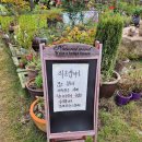 내남 용장주차장 화장실 | 경주 내남 남산 용장주차장 힐링 플라워 카페 하늘정원