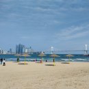 자오준