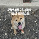 주천현대마트 | [전북 진안 Trip] 진안 1박 2일 여행: 계곡 펜션 포레스트에서 힐링하고 온 후기