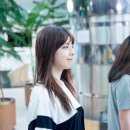 파오 이미지