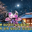 풍성식당 이미지