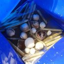 몽산포오션캠핑장 이미지