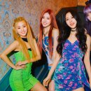 솔라 카카오 검색결과