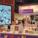 꽃개 하우스 | 고양 스타필드 애견동반 카페 편안하게 쉬기 좋은 신산커피하우스