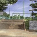 중앙체육공원 농구장 이미지