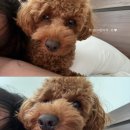 그린파크(라성타운내 위치) | 동해 | 대문자 P의 무계획 4박5일 여행