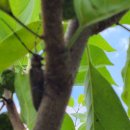 하늘소농장 이미지