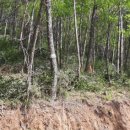 한성 행정사 사무소 이미지