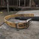 김성광 농장 이미지